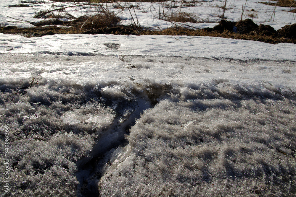 melting snow on a spring sunny day. melting snow on a spring sunny day.