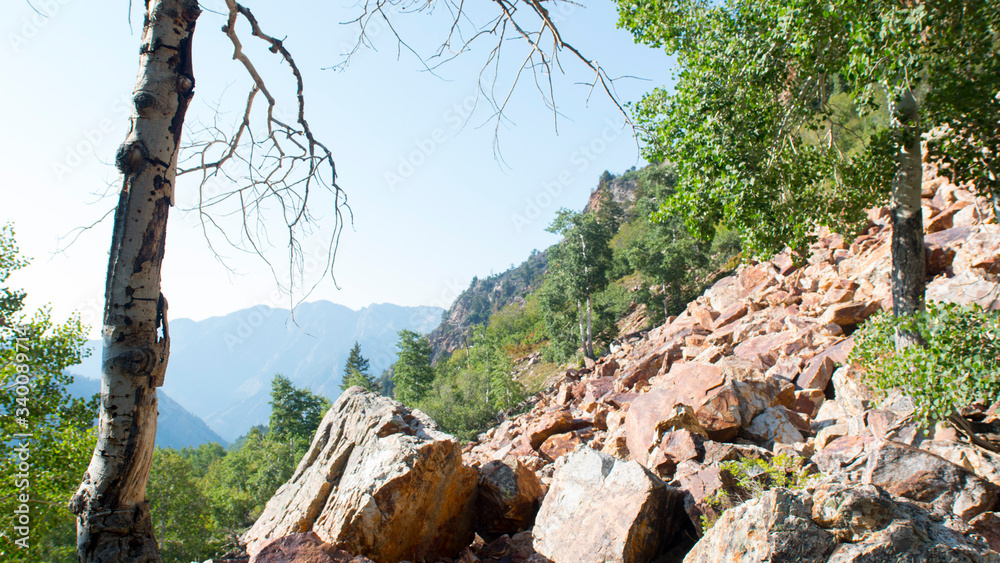 Up in the mountains above the Salt Lake Valley, there are beautiful little pockets of nature to escape into, like Lake Blanche (if you can make the 4-mile steep climb to find it!) Up in the mountains above the Salt Lake Valley, there are beautiful little pockets of nature to escape into, like Lake Blanche (if you can make the 4-mile steep climb to find it!)