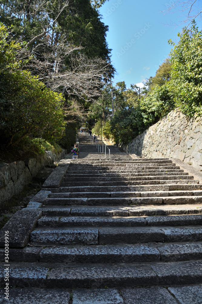 矢田寺
