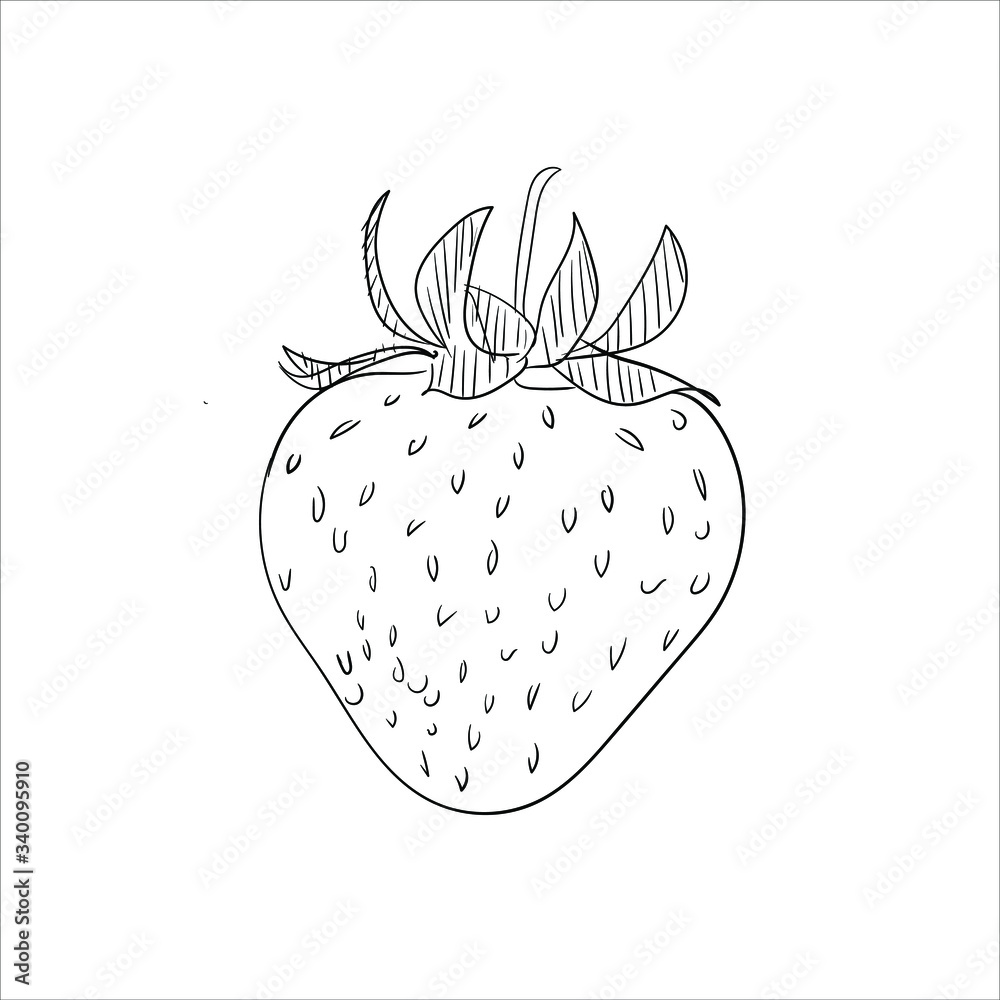 Fototapeta premium strawberry on a white background