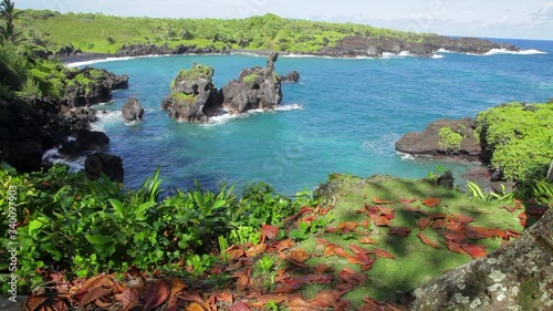 Blue-ocean Pailoa Bay at the Waianapanapa State Park on Maui with jagged lava rocks off shore and colorful leaves laying on the tropical Hawaii ground in the foreground photo