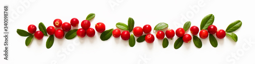 Panoramic border from fresh cowberry