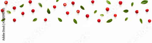 BPanoramic border from fresh cowberry