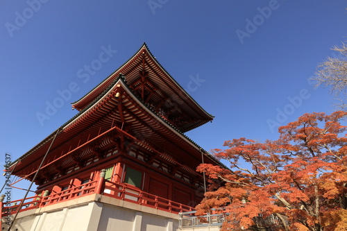 成田山公園 紅葉 成田山新勝寺 平和大塔 Stock Photo Adobe Stock