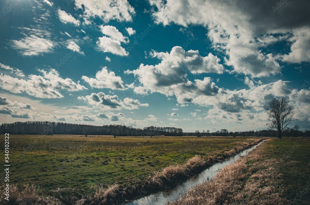 Fototapeta premium Wieś