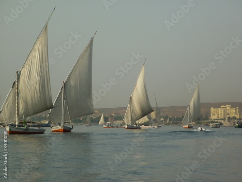 Faluka on the Nile 
