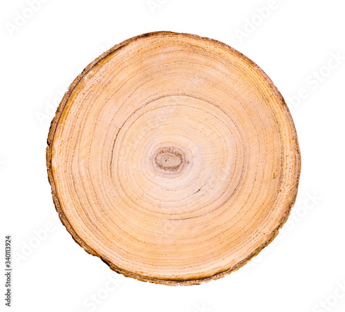 Cut wood tree slice with natural edges rings on white with empty space