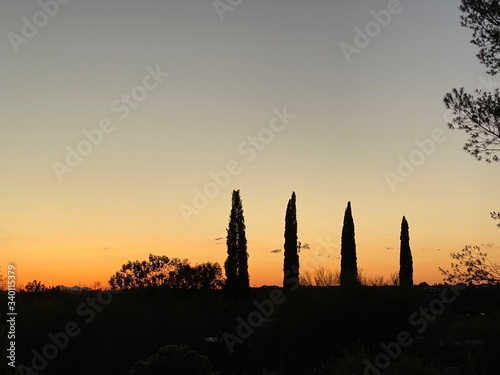 sentries at sunset