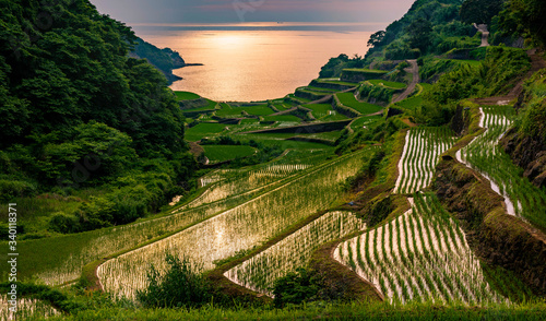 Evening view of rice terraces by the sea