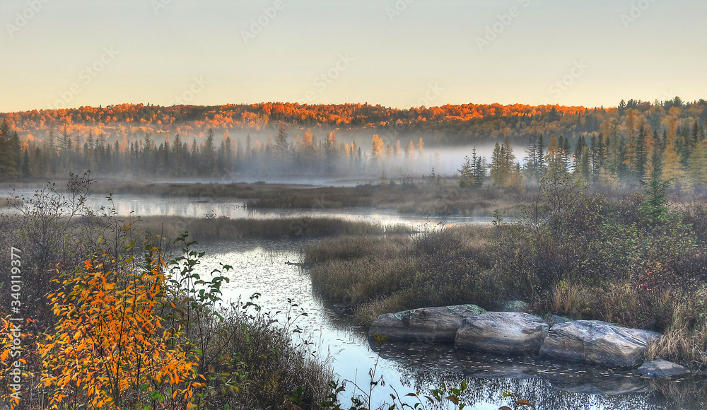 sunrise and mist over the river in forest of autumn colour  Algonquin Park Ontario Canada