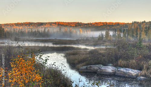 sunrise and mist over the river in forest of autumn colour  Algonquin Park Ontario Canada
