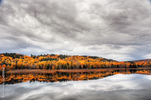 Forest in autumn colour reflected in lake Ontario Canada