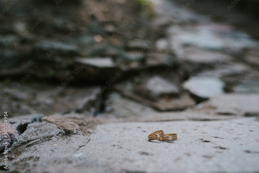 Fototapeta premium Beautiful wedding rings for the bride and groom