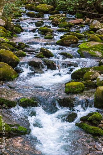 Fototapeta Stream Flowing Through Rocks