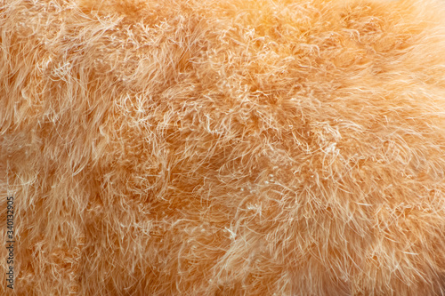 furry yellow orange shaggy backdrop texture background textured asset