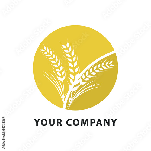 Wheat farming logo design template. Agriculture wheat / Grain logo design template