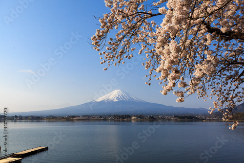 桜 © Kuniyuki SUZUKI