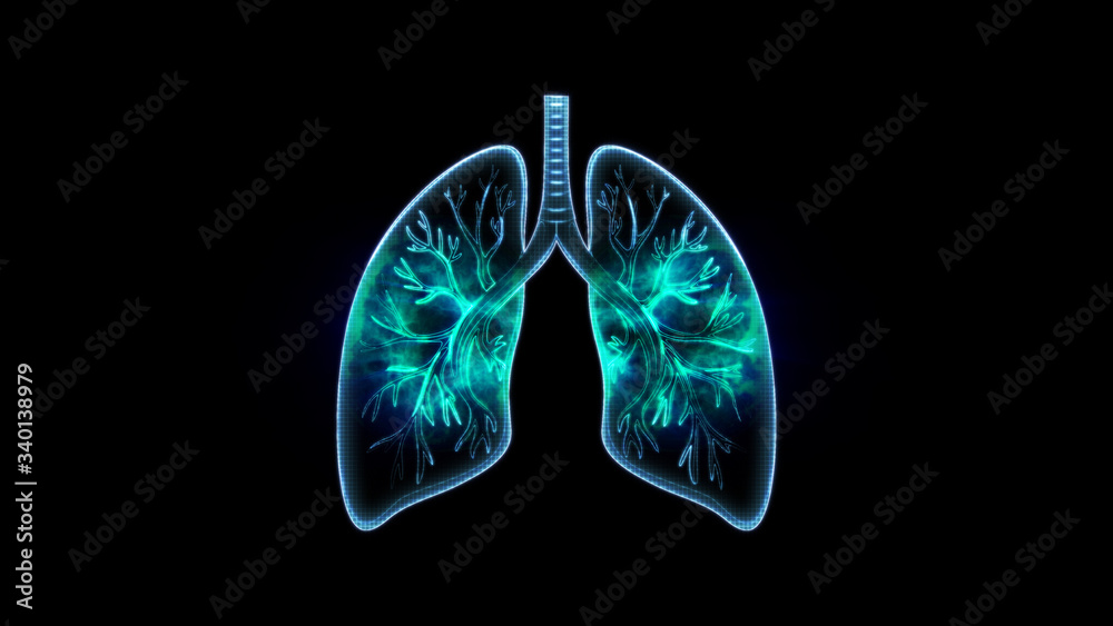 human lungs