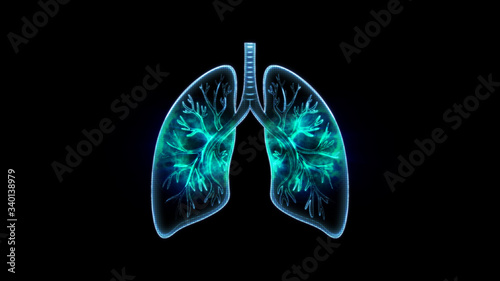 Fotografía human lungs