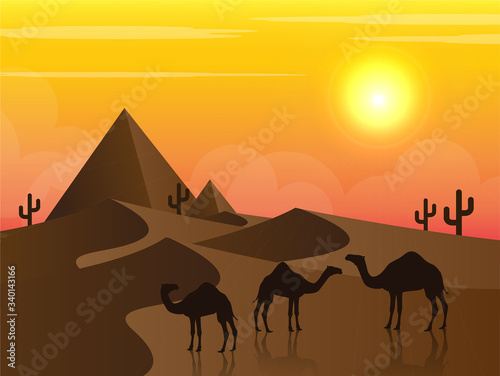 camel  desert  sunset