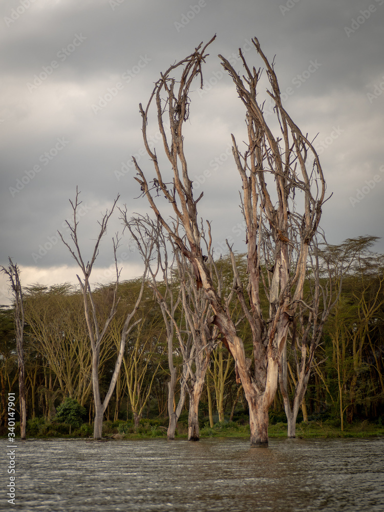 Lake Naivasha11 Lake Naivasha11