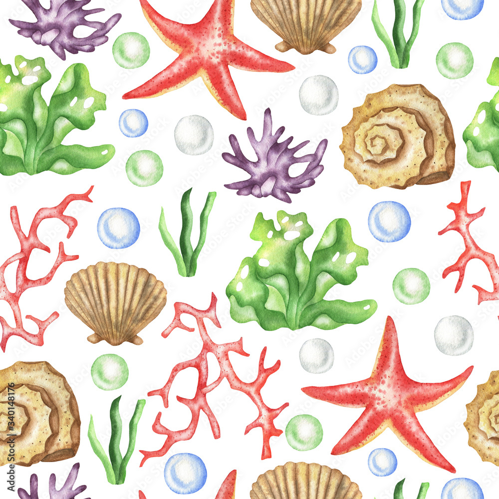 Pattern of corals and seashells