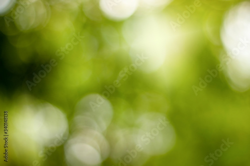 Natural Bokeh.Green bokeh out of focus background from nature.
