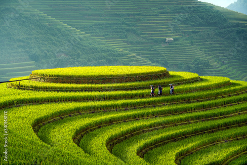 Beautiful step of rice terrace paddle field in sunset and dawn at Mam Xoi hill, Mu Cang Chai, Vietnam. Mu Cang Chai is beautiful in nature place in Vietnam, Southeast Asia. Travel concept. Aerial view photo