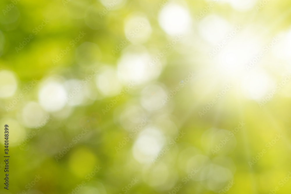 Green light bokeh nature background,Abstract natural green bokeh background,Natural blurred background. Green light bokeh nature background,Abstract natural green bokeh background,Natural blurred background.