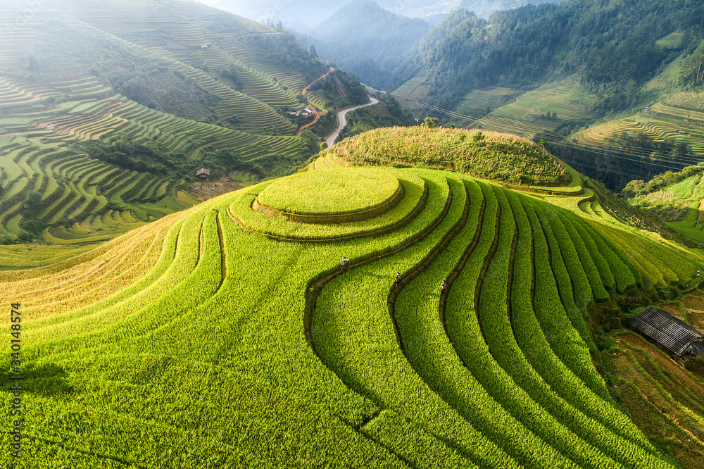 Beautiful step of rice terrace paddle field in sunset and dawn at Mam Xoi hill, Mu Cang Chai, Vietnam. Mu Cang Chai is beautiful in nature place in Vietnam, Southeast Asia. Travel concept. Aerial view Beautiful step of rice terrace paddle field in sunset and dawn at Mam Xoi hill, Mu Cang Chai, Vietnam. Mu Cang Chai is beautiful in nature place in Vietnam, Southeast Asia. Travel concept. Aerial view