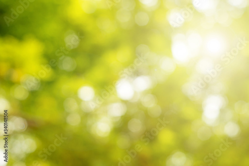 Sunny abstract green nature background.Abstract blur green color for background.Blurred and defocused effect spring concept.
