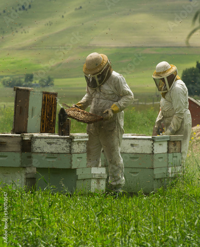 Two People Checking the Hives on a Rural Bee Keeping Farm