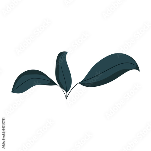 leaves foliage greeney vegetation plant isolated icon