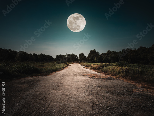 Obraz na płótnie Landscape of night sky and bright full moon. Asphalt road leading into the forest at night. Serenity background. w salonie