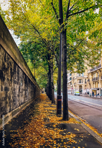 Paris, France - A Parisian corner in autumn with yellow leaves 