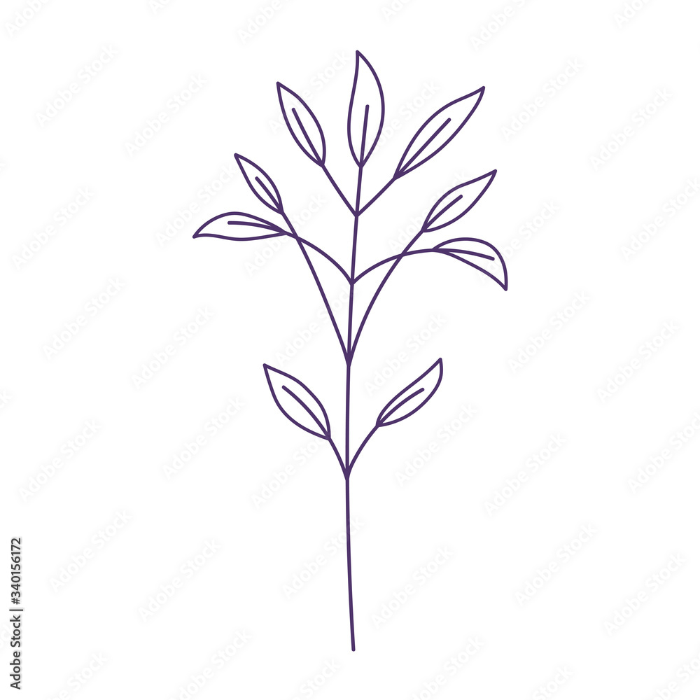 branch leaves foliage natural botanical siolated icon white background line style