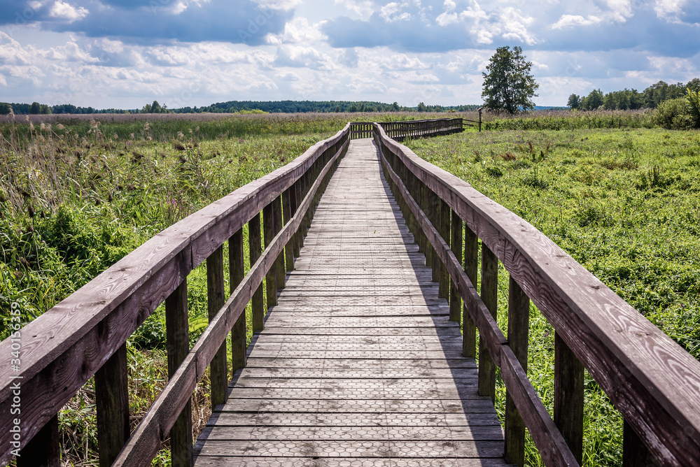 Tourist wooden pathway in Narew National Park, close to the park authorities headquarters in Kurowo village, Poland