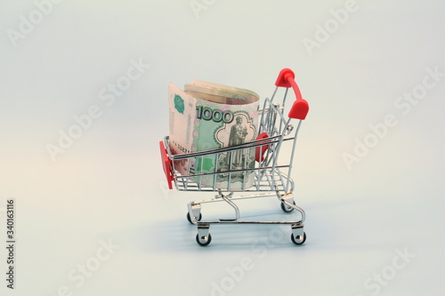 Shopping cart with Russian money. Paper bills and a souvenir shopping basket.