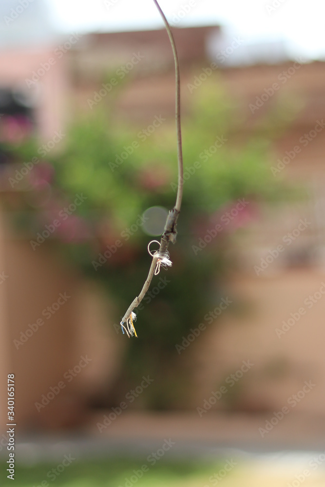 Broken telephone wire Broken telephone wire