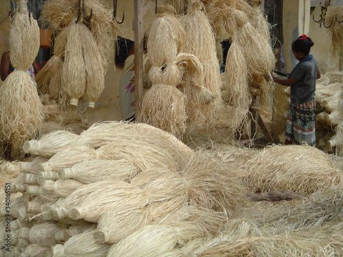 Trie puis préparation de pelote de sisal (raphia) à Mahajanga - Madagascar.