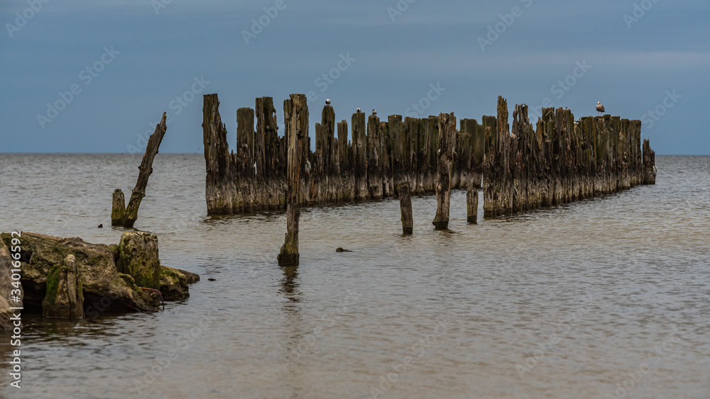 old boat mooring poles on the shores of the Baltic Sea old boat mooring poles on the shores of the Baltic Sea