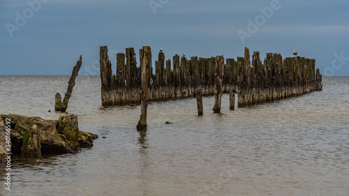 old boat mooring poles on the shores of the Baltic Sea