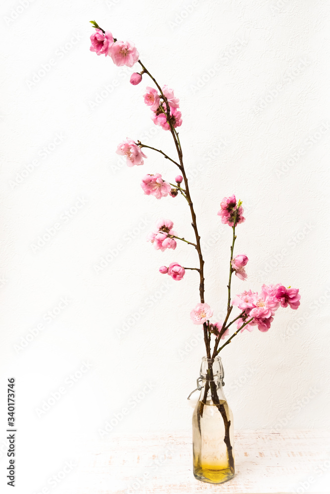 ピンクの花 Bright pink spring peach blossoms ピンクの花 Bright pink spring peach blossoms