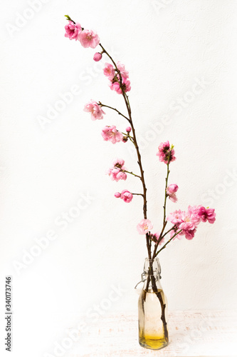 ピンクの花　Bright pink spring peach blossoms © norikko