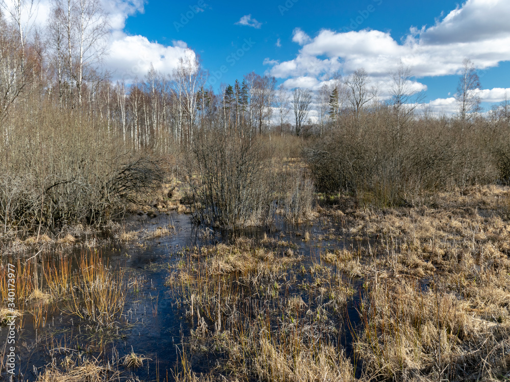 sunny spring landscape with a flooded river, rotten old trees and fallen ground, thin water sunny spring landscape with a flooded river, rotten old trees and fallen ground, thin water