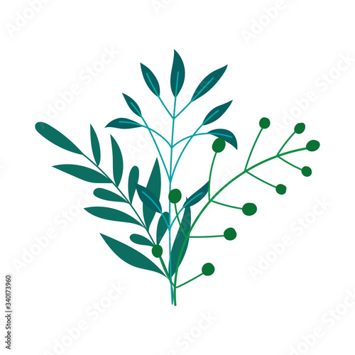 branch foliage berries fruit botancial isolated icon