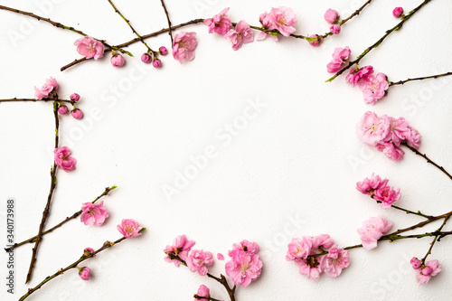 ピンクの花 Bright pink spring peach blossoms