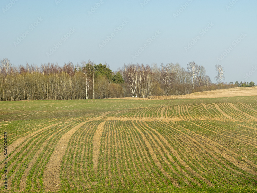 sunny spring landscape with countryside