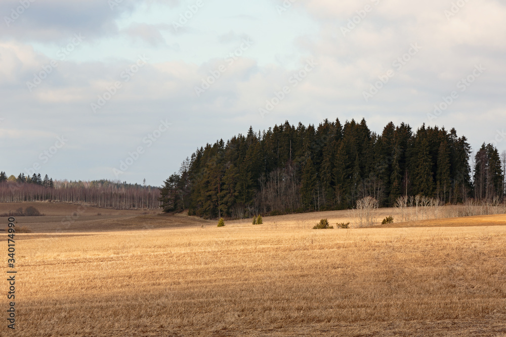 A rural landscape with fields and forest in early spring A rural landscape with fields and forest in early spring