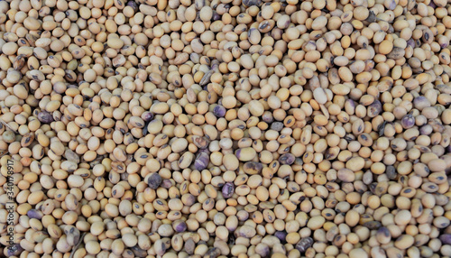 Concept cereal background, Lentils, It is used as an ingredient in both savory and sweet dishes.